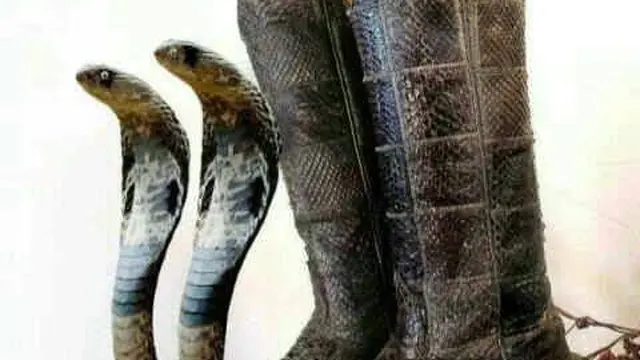 7 Alas Kaki Bentuk Hewan Ini Nyeleneh Banget, Anti-Mainstream
