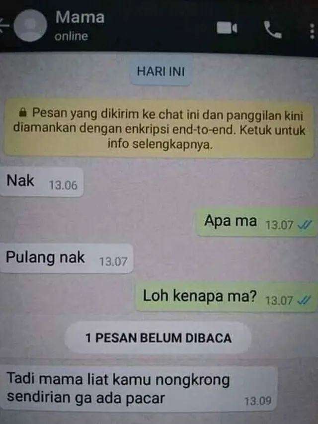 7 Chat Ibu Bertanya Ini Ujungnya Bikin Ngakak