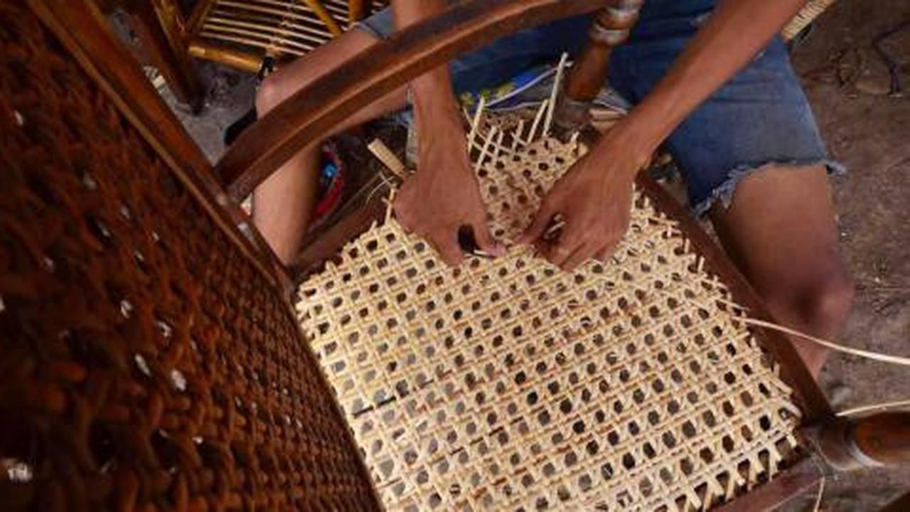 Mengais rejeki dari rotan