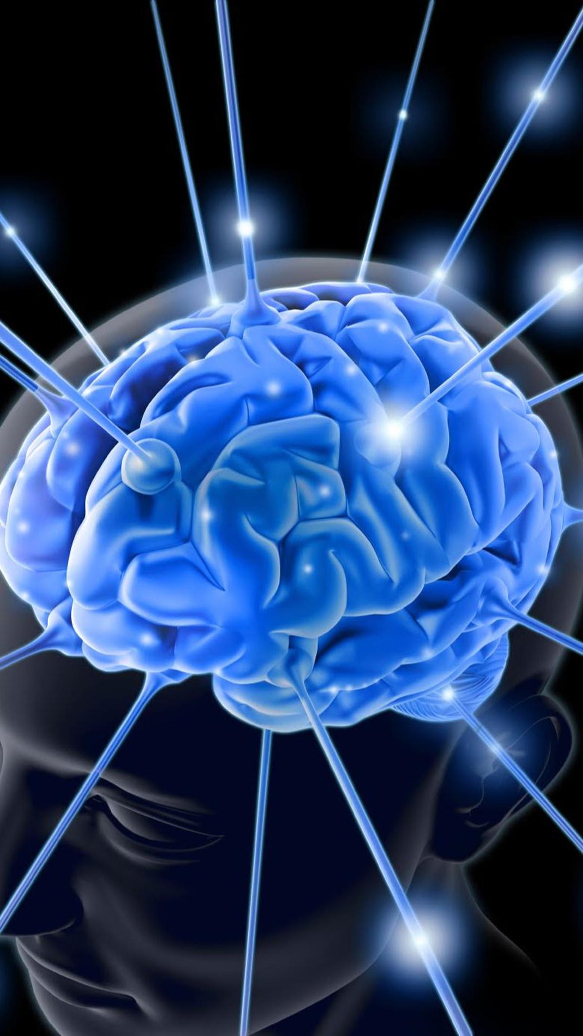Namun, hanya sedikit manusia di dunia ini yang tercatat memiliki IQ di atas 200.