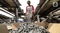 Nelayan memasukkan ikan asin yang telah dijemur ke dalam kardus di Muara Angke, Jakarta, Minggu (8/11/2020). Saat ini, nelayan terpaksa menurunkan harga jual ikan asin menjadi Rp 25 ribu per kilogram. (merdeka.com/Iqbal Septian Nugroho)