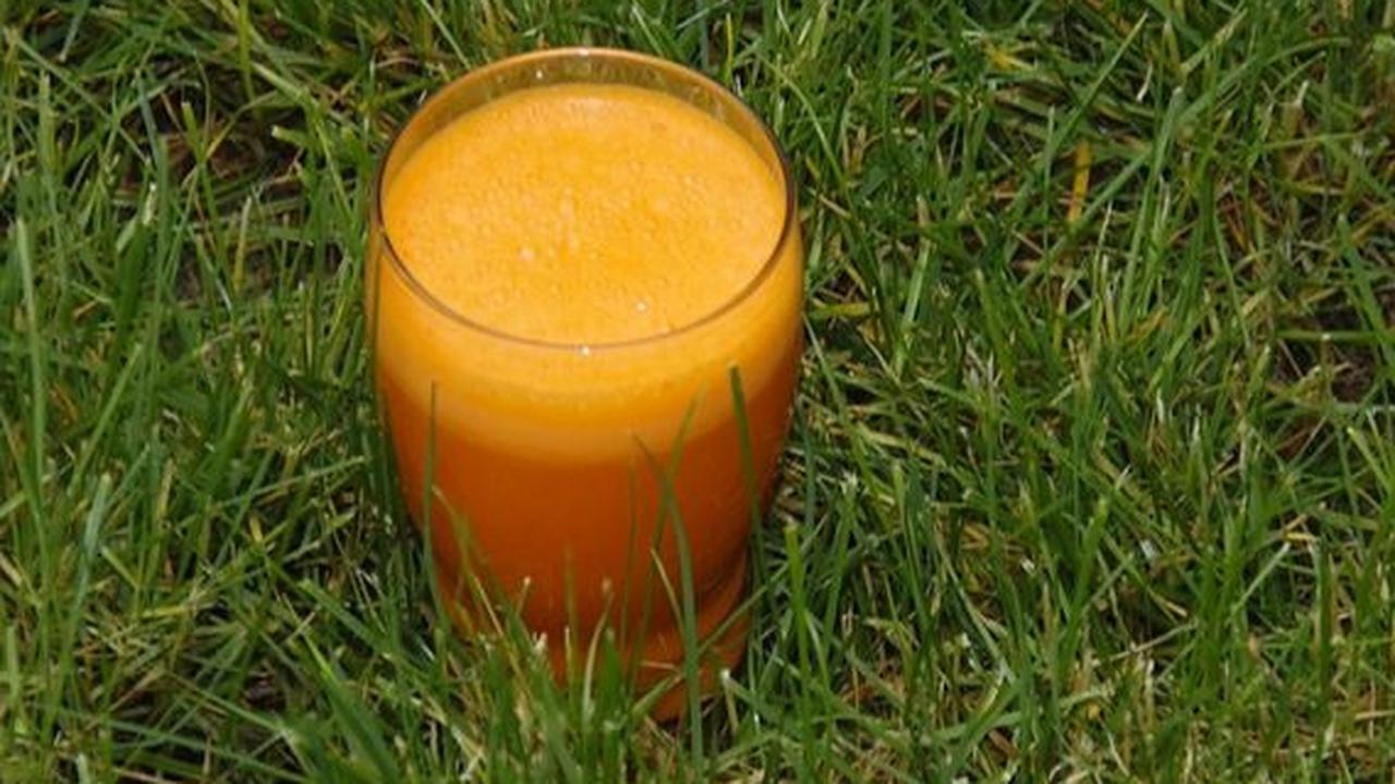 Resep Jus Wortel Mentimun