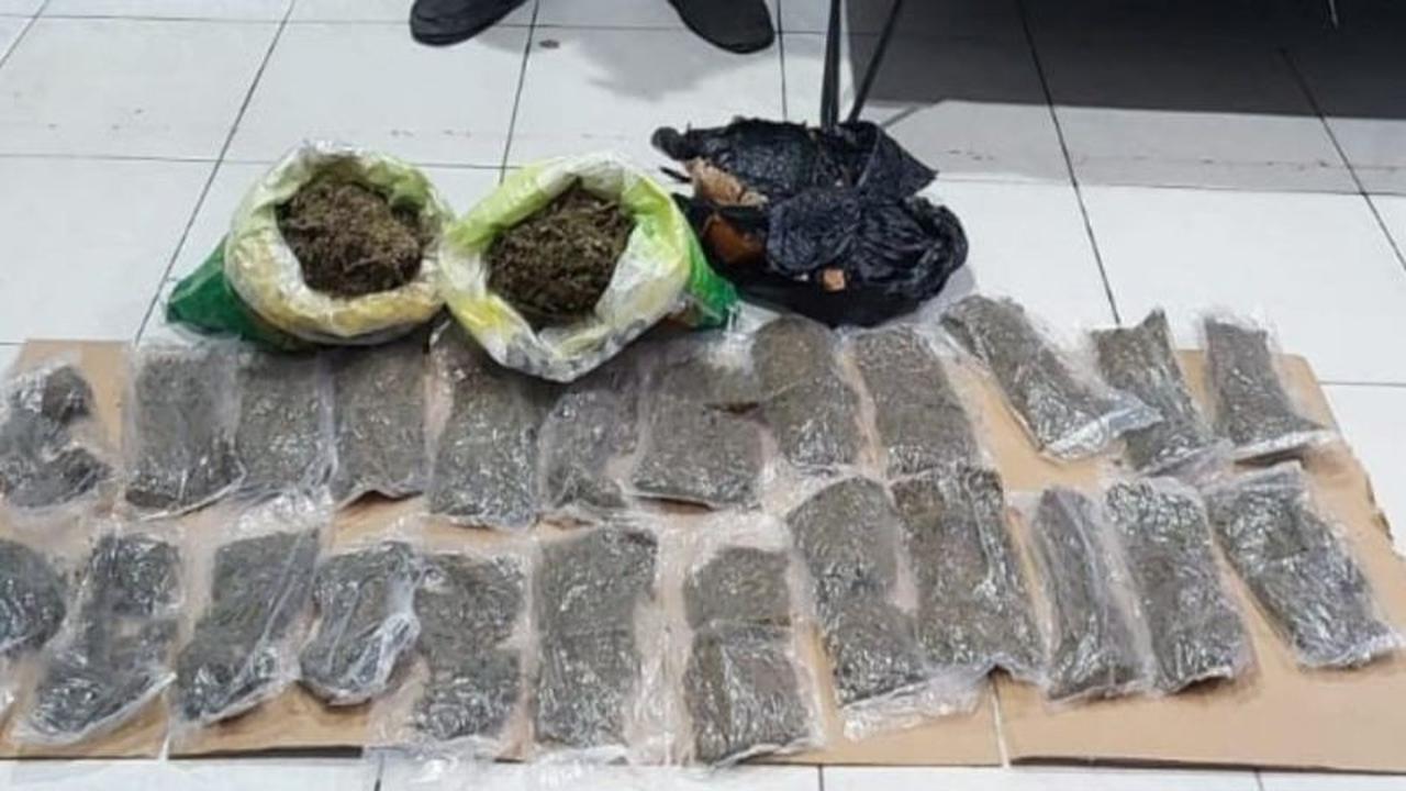 Polresta Manokwari Gagalkan Penyelundupan 1 Kg Ganja dari Jayapura, Pelaku Ditangkap di KM Dorolonda