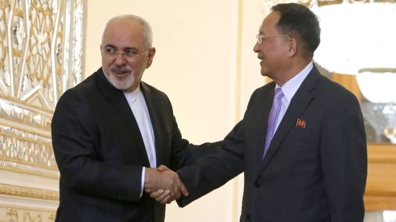 Menteri Luar Negeri Iran Javad Zarif menyambut kunjungan Menlu Korea Utara Ri Yong-ho di Teheran (AFP)