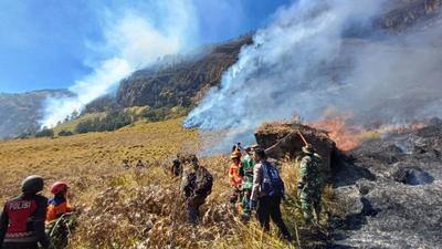 Kebakaran Gunung Bromo Meluas hingga 10 Hektare, Petugas Kewalahan