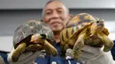 Wakil Direktur Bea Cukai Abdul Wahid Sulong menunjukkan dua kura-kura Madagaskar yang gagal diselundupkan di Sepang, Senin (15/5). Otoritas Malaysia menggagalkan penyelundupan 330 kura-kura langka yang terancam punah dari Madagaskar (AP Photo/Daniel Chan)