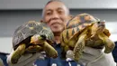 Wakil Direktur Bea Cukai Abdul Wahid Sulong menunjukkan dua kura-kura Madagaskar yang gagal diselundupkan di Sepang, Senin (15/5). Otoritas Malaysia menggagalkan penyelundupan 330 kura-kura langka yang terancam punah dari Madagaskar (AP Photo/Daniel Chan)