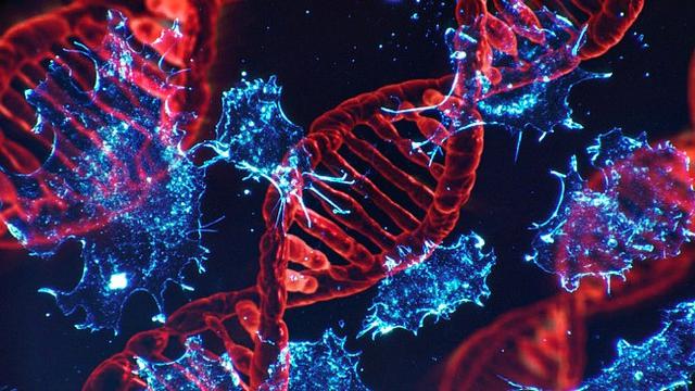 DNA