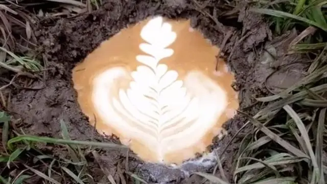 6 Kreasi Nyeleneh Latte Art Layaknya Buatan Barista Ini Bikin Melongo