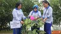 PG Jalasenastri Kolinlamil Tanam Pohon