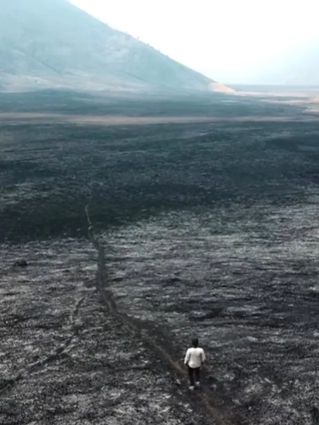Kebakaran Bromo