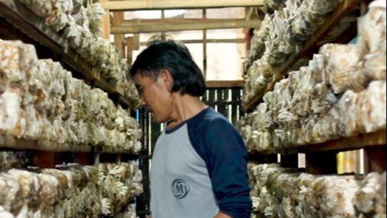 FOTO: Mengenal Desa BRILIan Trawas: Giat Pelaku UMKM Terus Tumbuh Berkat Inovasi dan Kreativitas Warga