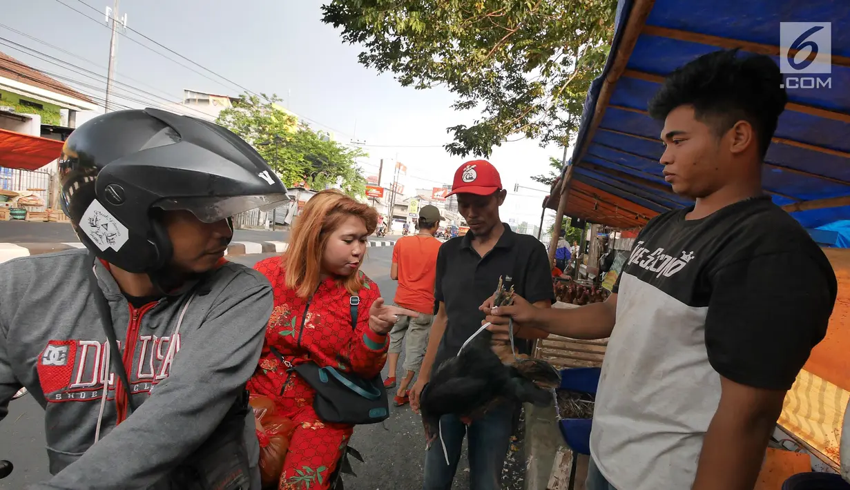 Pembeli sedang melihat seekor ayam di kawasan jalan raya Bogor KM 32, Depok, Selasa (12/6). Menjelang perayaan Idul Fitri 1439 H, para pedagang ayam dan entok mulai memadati pinggir jalan raya Bogor KM 32. (Liputan6.com/Herman Zakharia)