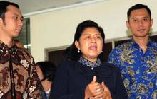 Syarief Hasan: Pencalonan Ibu Ani hanya bentuk kekaguman