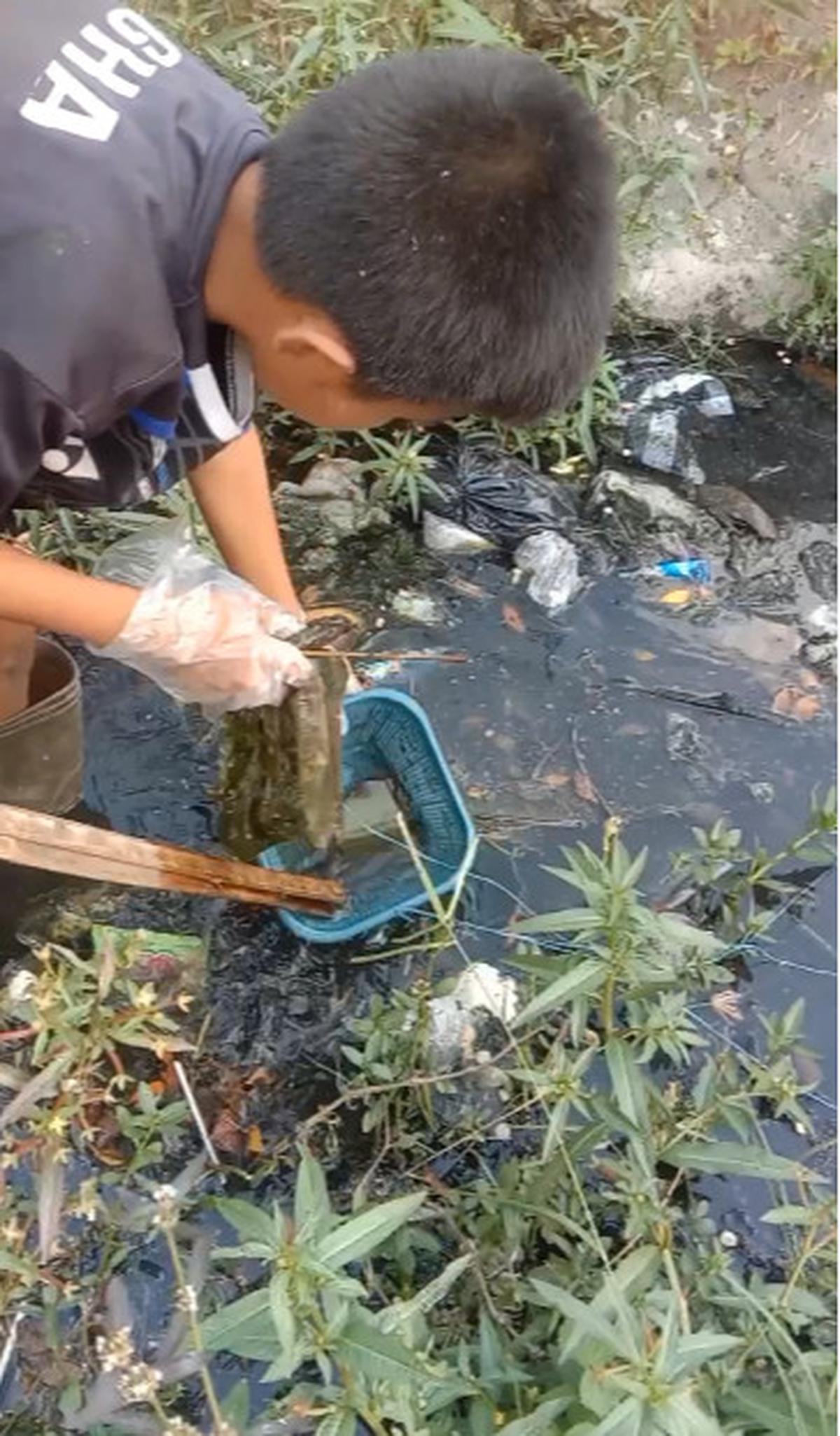 Para Bocah Kompak Bersihkan Selokan di Tepi Jalanan, Aksinya Banjir Pujian
