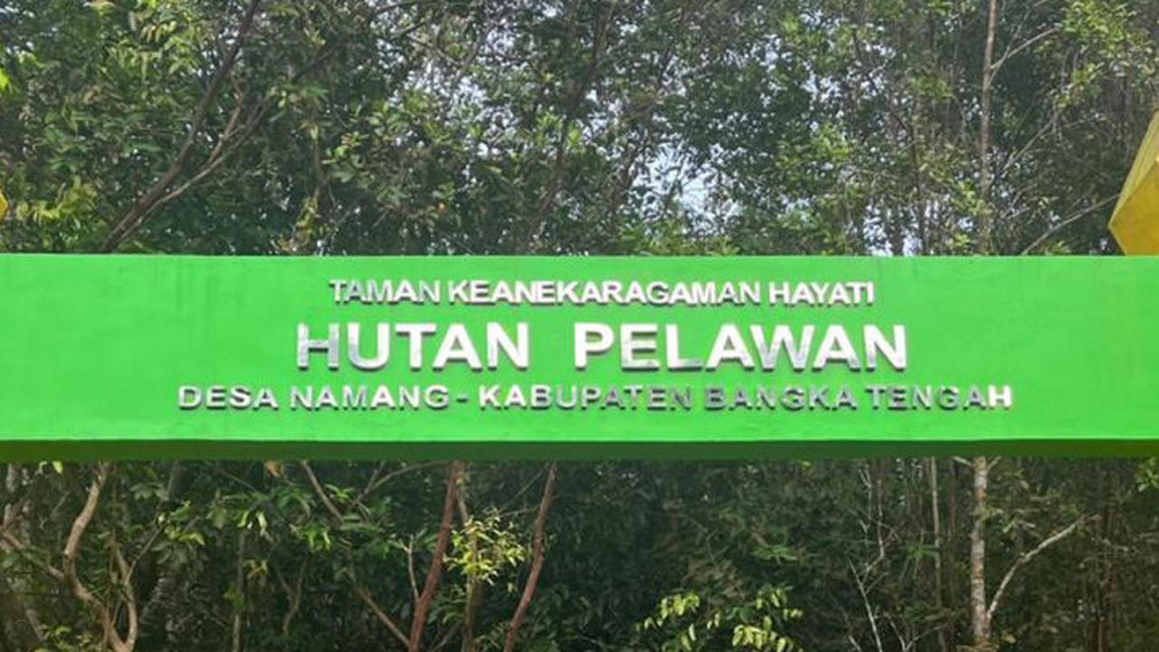 Hutan Pelawan