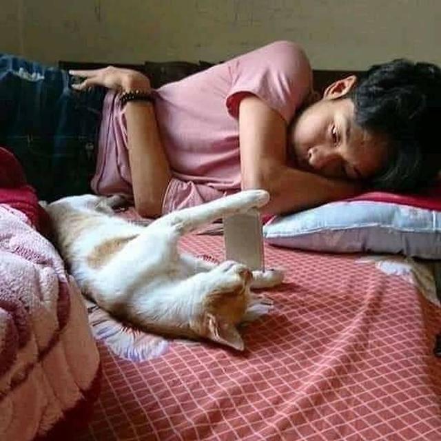 Kocak, 6 Potret Aksi Orang saat Bosan di Rumah Ini Bikin Tepuk Jidat