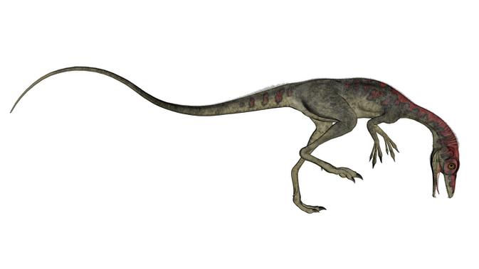 Jenis dinosaurus Compsognathus (Sumber: Istockphoto)