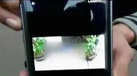 Bocah Tewas Terjatuh hingga SCTV-TNI AL Rawat Terumbu Karang