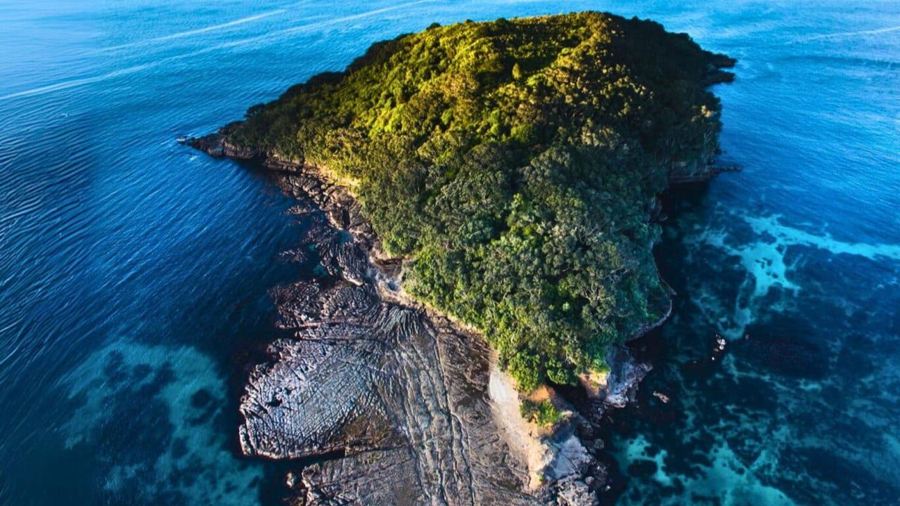 Tenggelam Jutaan Tahun, Pulau Misterius Muncul Dari Bawah Laut dan Negara Ini Ingin Akui Sebagai Wilayahnya