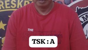 Predator Anak di Batu Bara