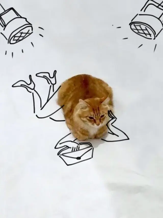 Lucunya 7 Kreasi Coretan di Foto Kucing Duduk Ini Bikin Tersenyum