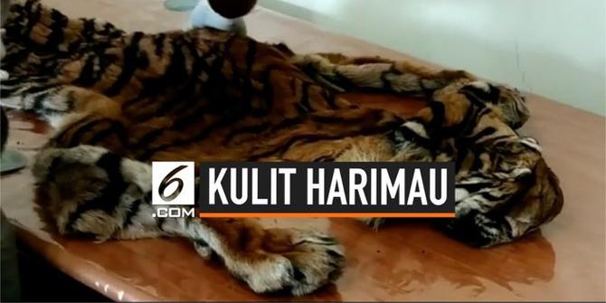 VIDEO: Terungkap, Penyelundupan Kulit Harimau di Bandara Sumatera Barat