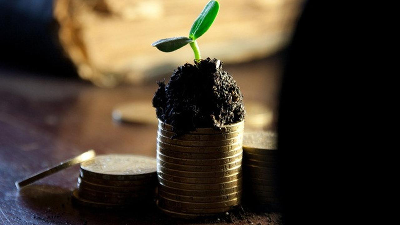 Ilustrasi dividen (image by Alexsander-777 from pixabay)