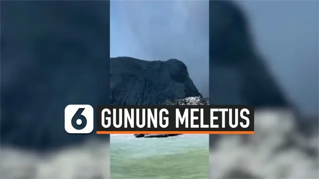 VIDEO: 11 WN Australia Hilang Saat Gunung Selandia Baru Meletus
