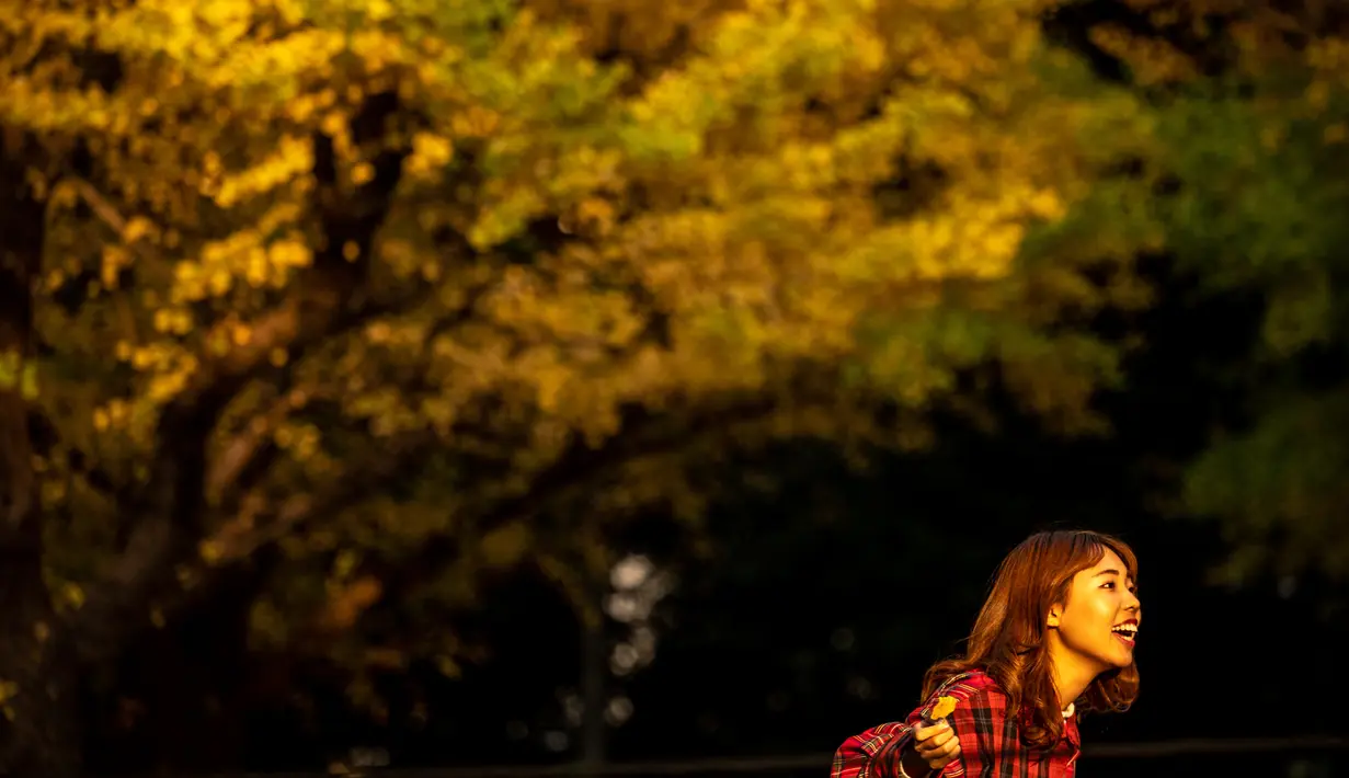 Seorang perempuan berpose dengan latar pohon ginkgo dalam warna musim gugur di Taman Luar Kuil Meiji di Tokyo, Kamis (18/11/2021). Pada pertengahan bulan November, barisan pohon ginkgo yang ada di taman ini akan berubah warna menjadi kuning keemasan. (Philip FONG / AFP)