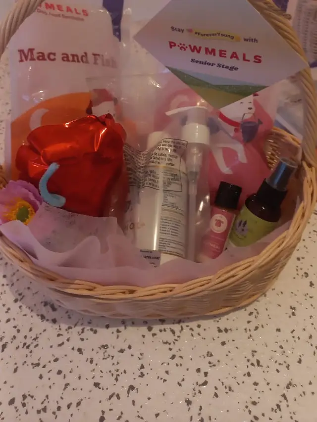 Romantisnya Dinner Bareng Anabul Kesayangan di Momen Valentine