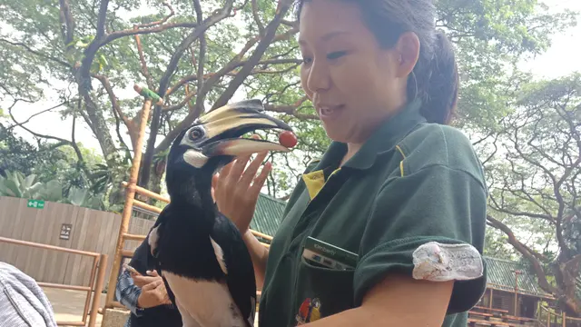 Jurong Bird Park