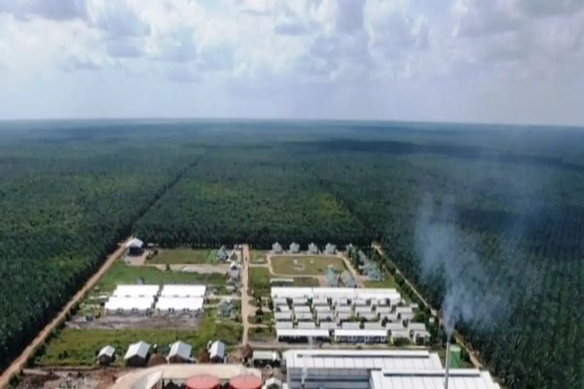 Pabrik kelapa sawit PT Triputra Agro Persada Tbk (TAPG) di Kalimantan Tengah (Foto: laman PT Triputra Agro Persada Tbk)