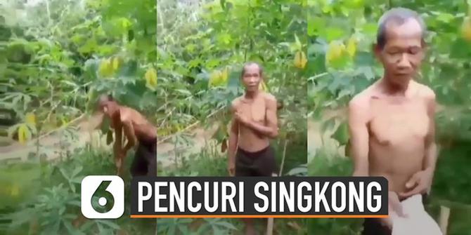 VIDEO: Curi Singkong, Seorang Kakek Diberi Uang Pemilik Kebun