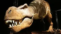Ilmuwan menemukan bukti bahwa dinosaurus muncul jauh sebelum yang selama ini diperkirakan.
