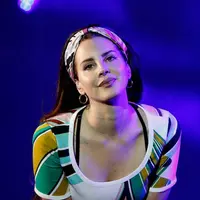 Pihak kepolisian berhasil menangkap Michael Hunt sebelum ia berhasil masuk ke tempat konser Lana Del Rey. (BBC)