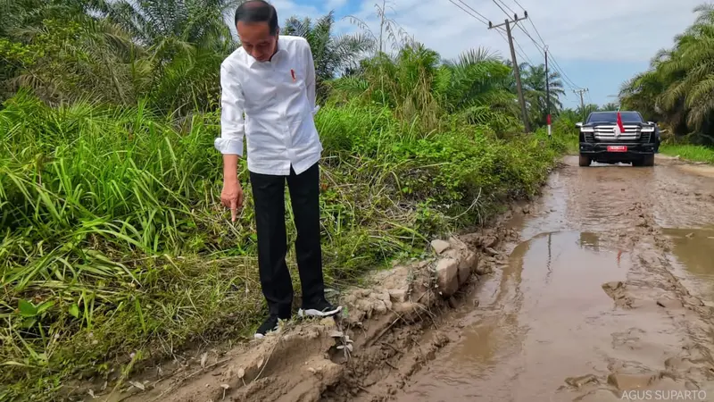 Jokowi Mendadak Cek Jalan Rusak di Labuan Batu Utara yang Sempat Viral