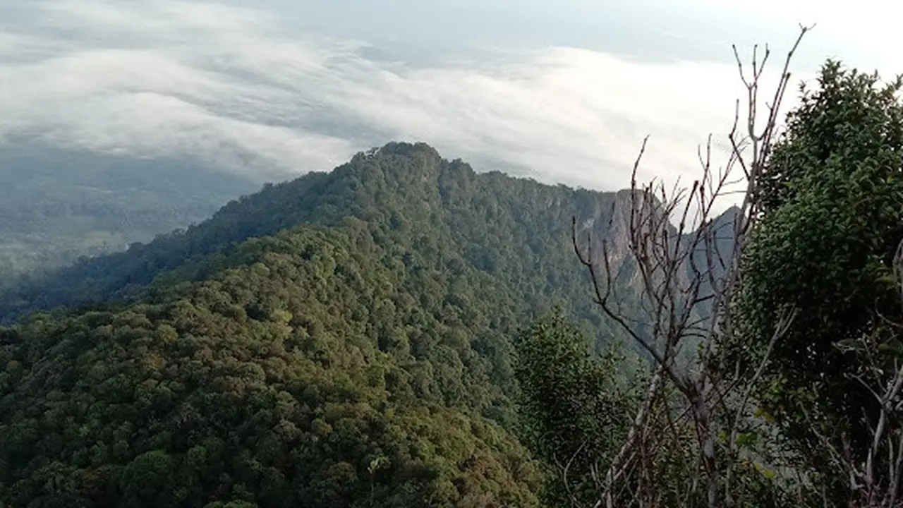 Bukit Kujau