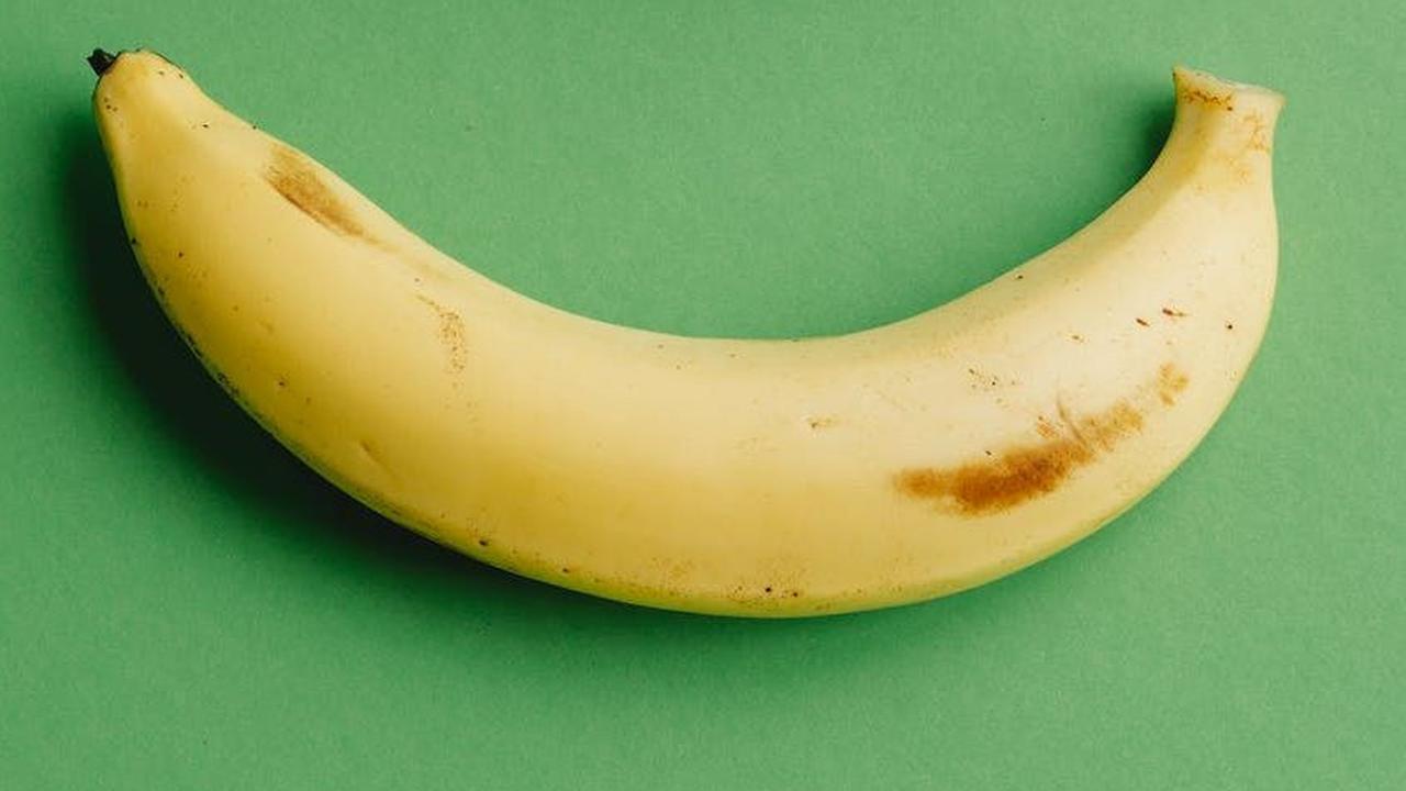 Namun, ada juga jenis pisang yang harus dimasak sebelum dimakan sehingga tidak boleh langsung diberikan untuk bayi. Pastikan buah pisang yang digunakan sebagai MPASI sudah matang dan berwarna kuning. Cukup berikan 1 buah pisang kecil kepada bayi dalam seh