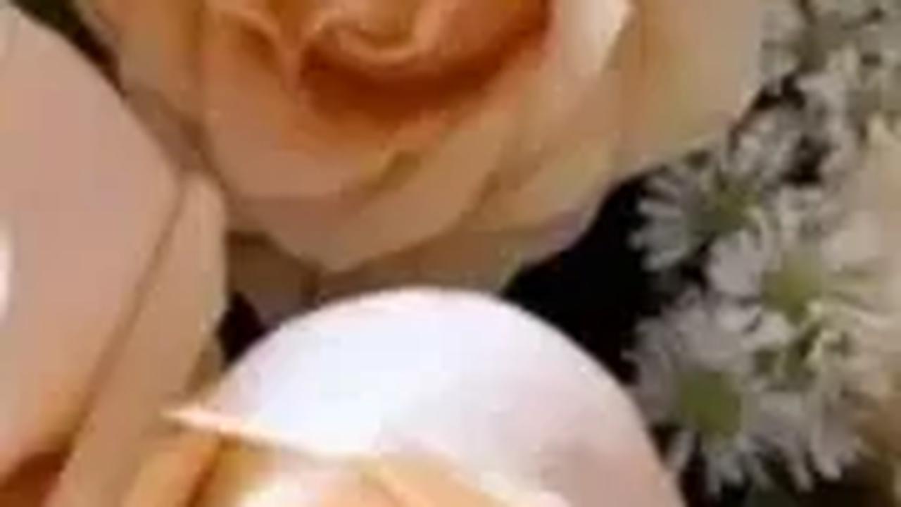 Kakak Tribrata, Trisha Eungelica turut mengunggah foto Instagram Story bunga berwarna peach. Unggahan ini diasumsikan merayakan kelulusan adiknya.