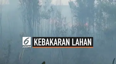 Kebakaran lahan yang sudah berlangsung seama sepekan di Kabupaten Ogan Komering Ilir (Oki) sulit dipadamkan. Api sult dipadamkan karena semprotan air tidak sampai ke dasar lahan gambut sehingga jika tertiup angin bara api kembali menyala.