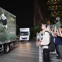 2 Panda Raksasa dari China, Ping Ping dan Fu Shuang, Tiba di AS