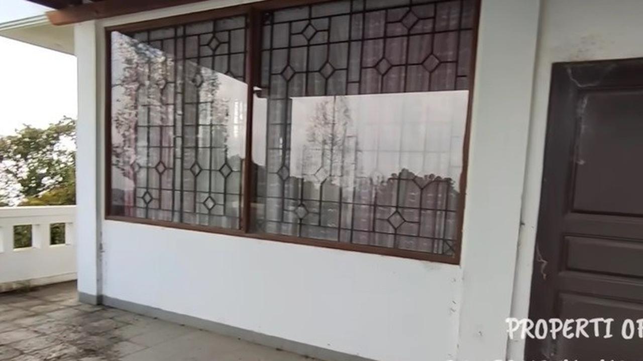Mengingat sudah lama ditinggalkan dan dibiarkan, banyak ditemukan kotoran hewan di beberapa sudut halaman kediaman ini.<br>