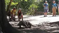 Pulau Komodo di NTT. (dok.Instagram @wisatapulaukomodo/https://www.instagram.com/p/BiPQVatgmIS/Henry