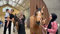 Potret Zaskia Sungkar Rawat Kuda Baru bernama ‘Crescent’ (Sumber: Liputan6.com/IG/zaskiasungkar15)