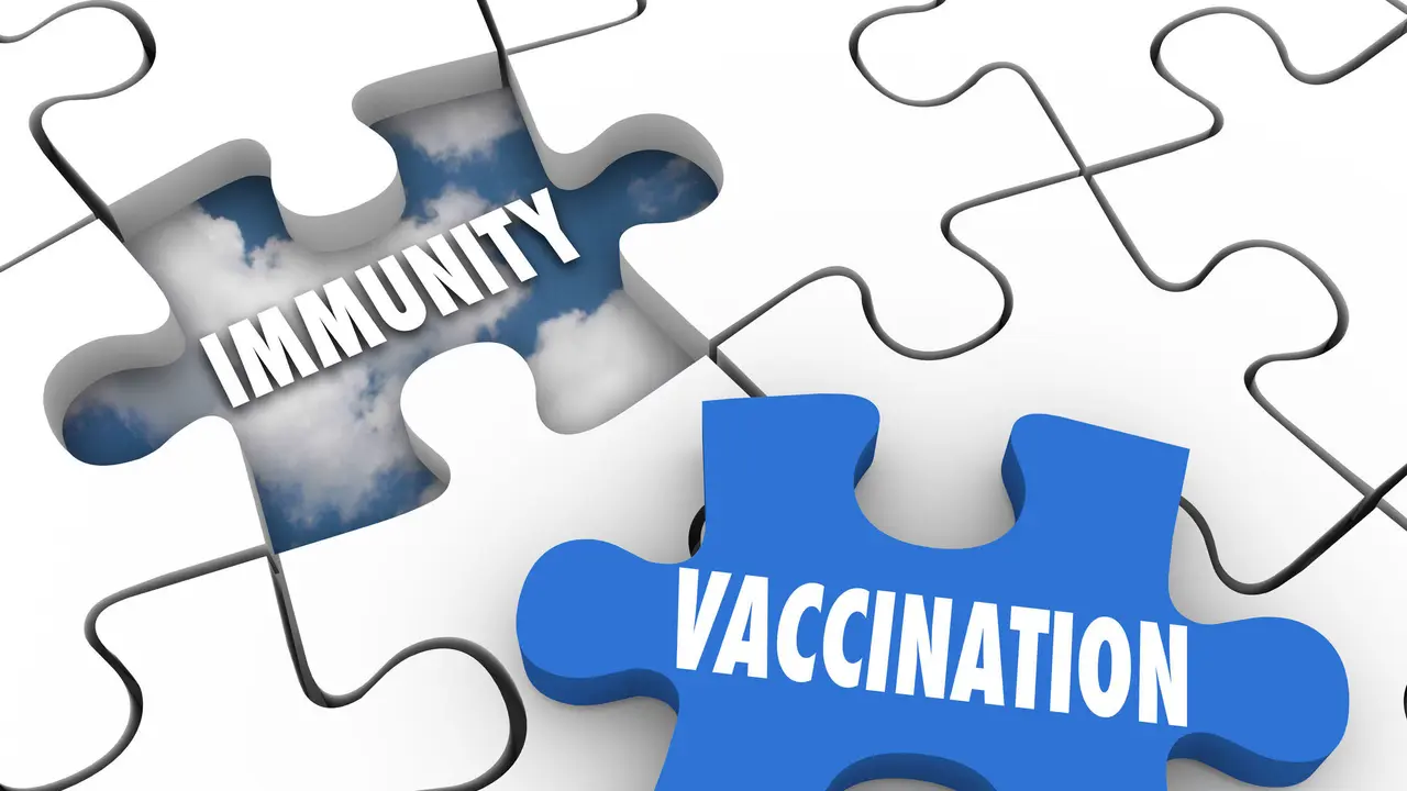 Herd Immunity, Vaksin, Infeksi, Vaksinasi COVID-19, Vaksin COVID-19, Vaksin Corona