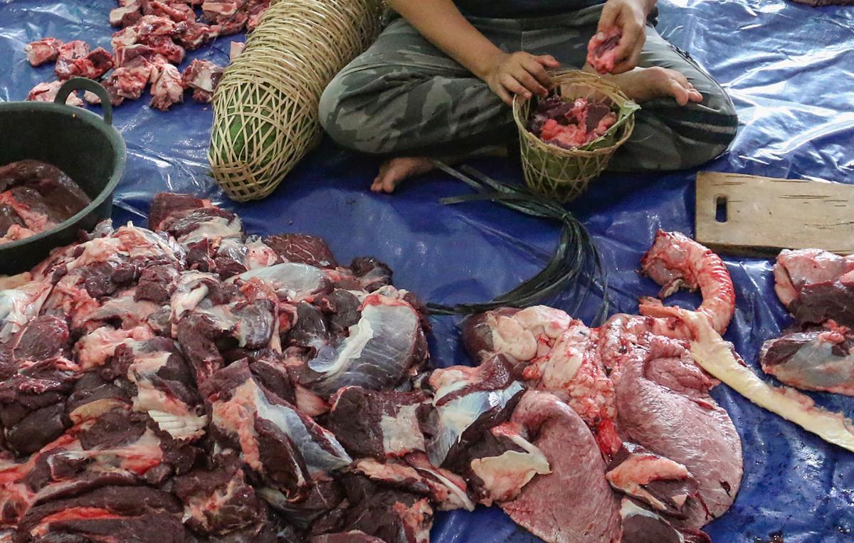 FOTO: Menghidupkan kembali Tradisi Andilan Potong Kebo di Jakarta