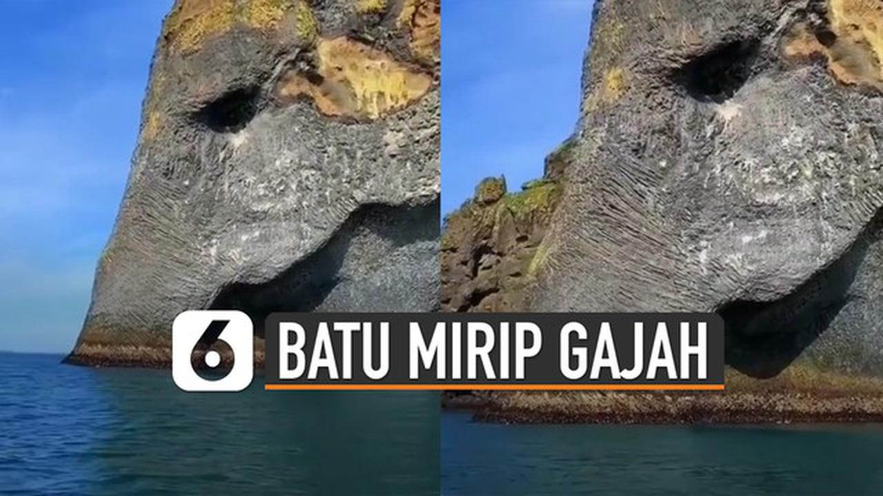 VIDEO: Unik, Batu Mirip Gajah