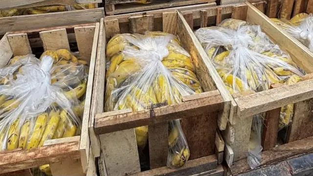Pedagang pisang di Lampung kena tipu