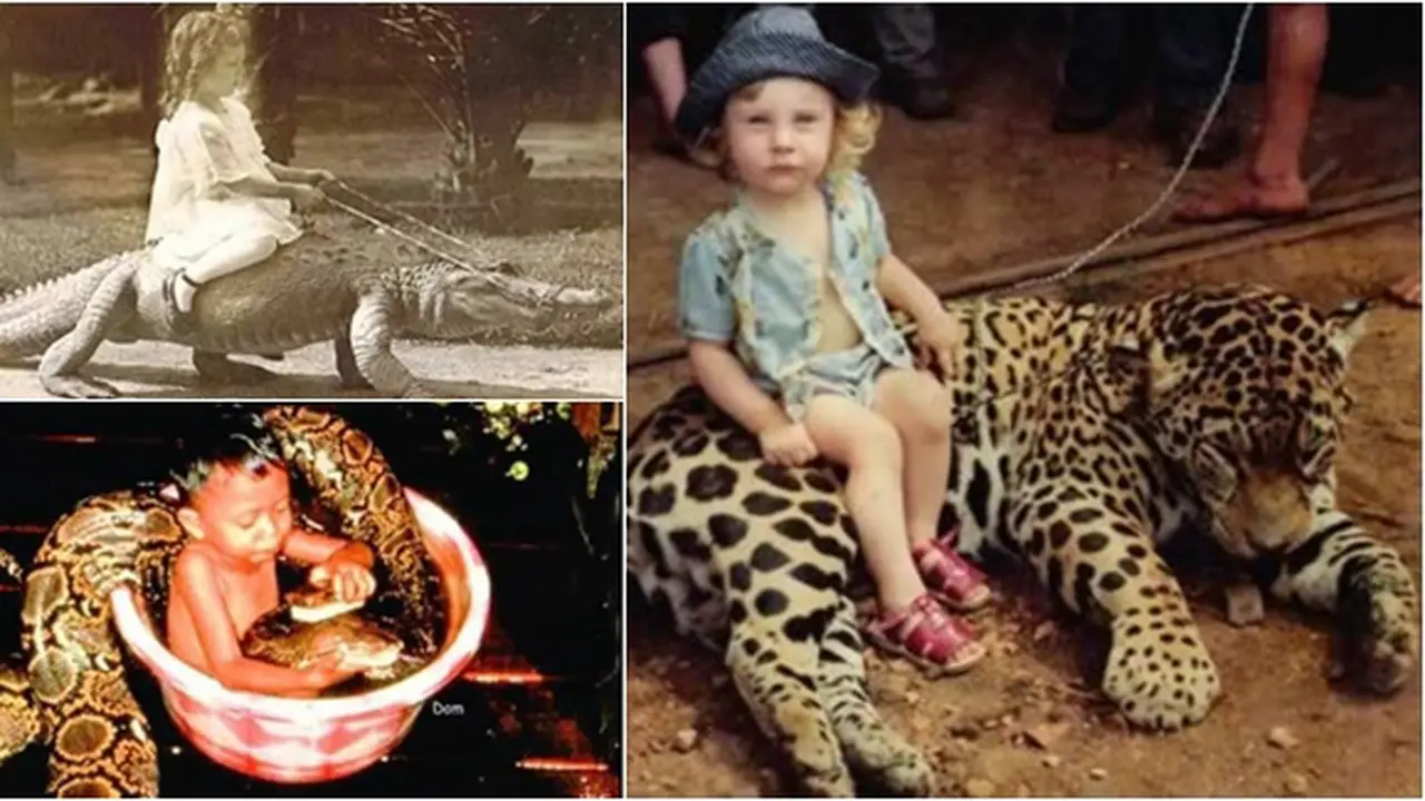 Foto copyright boredpanda.com